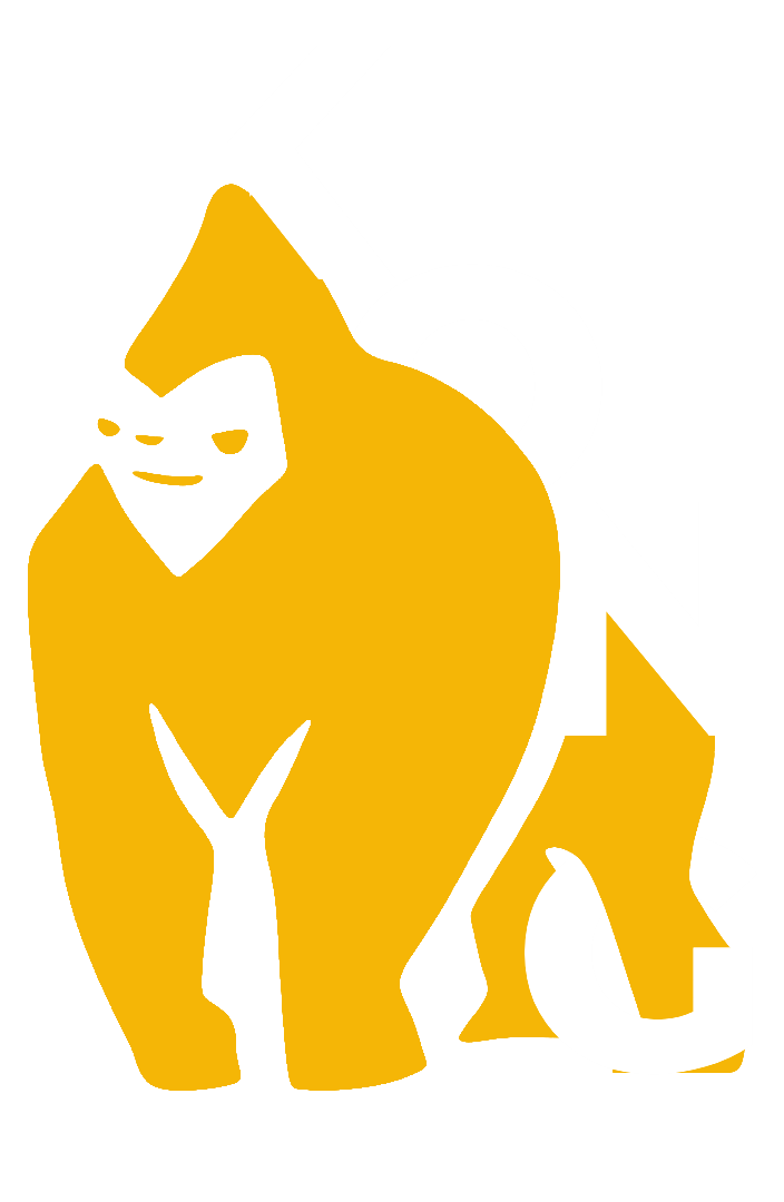 Logo Kong Proteção Veicular